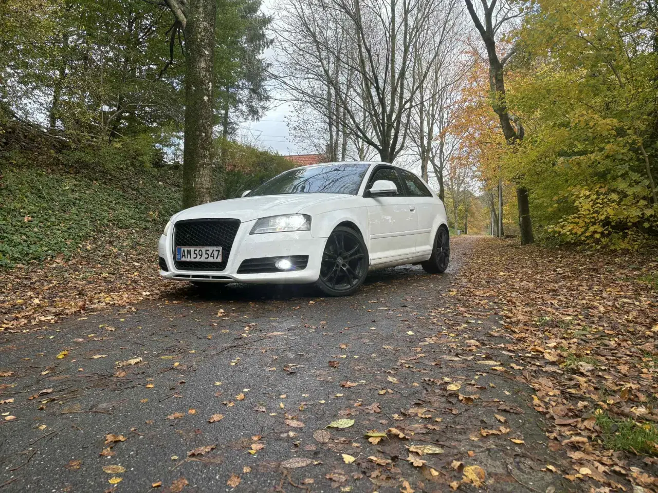 Billede 6 - Audi A3 8P Facelift ( Fuld Service bog )