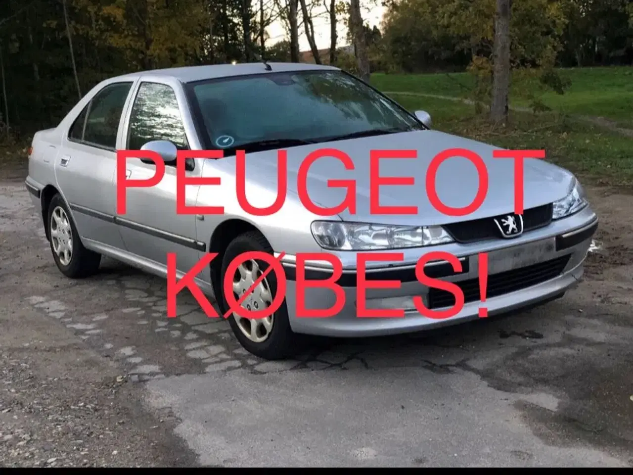 Billede 1 - SØGER Peugeot 406 !!