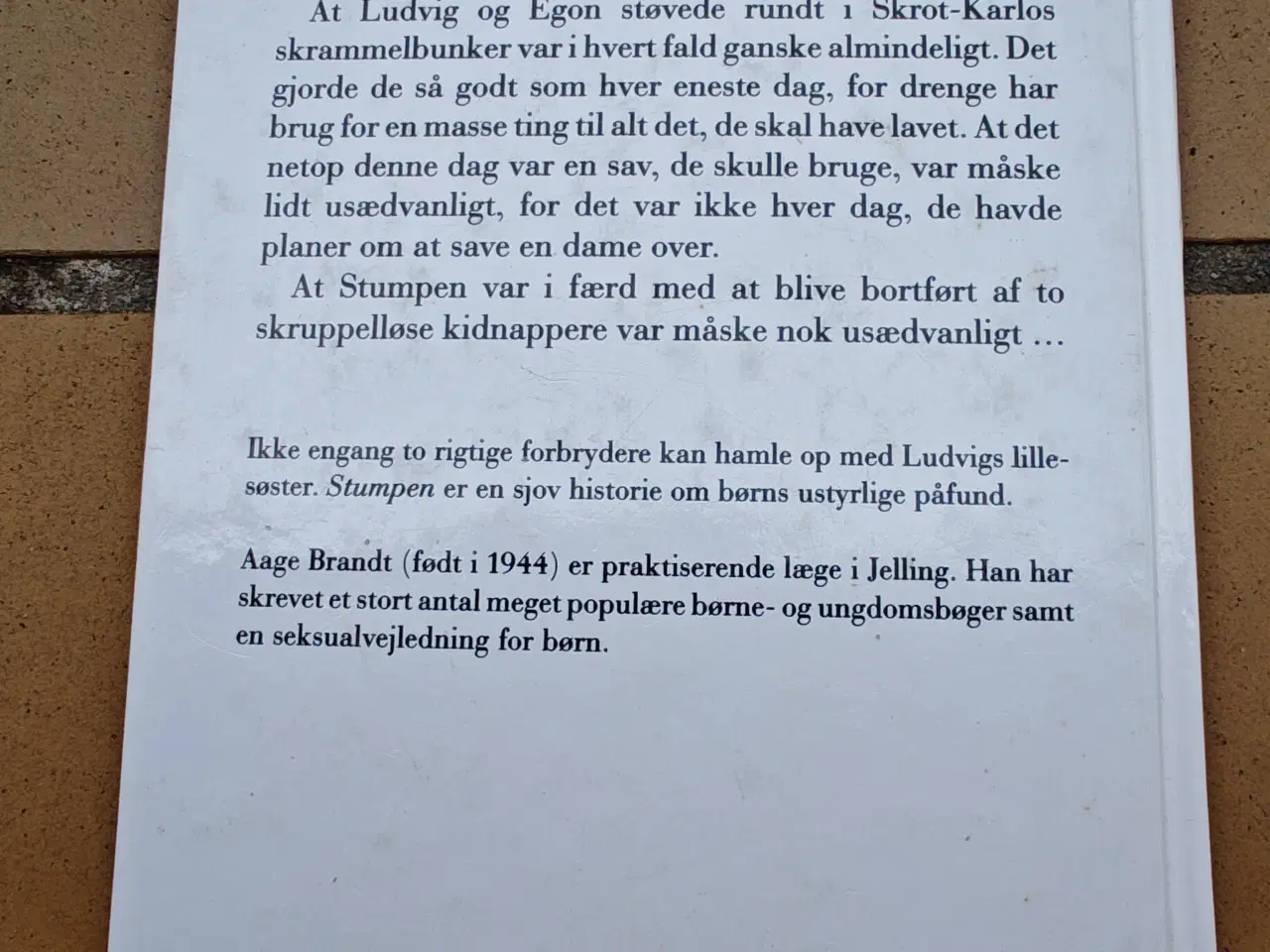 Billede 2 - Stumpen Bog af Aage Brandt