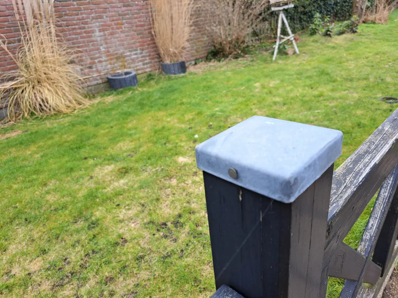 Billede 4 - Have hegn sort træ.