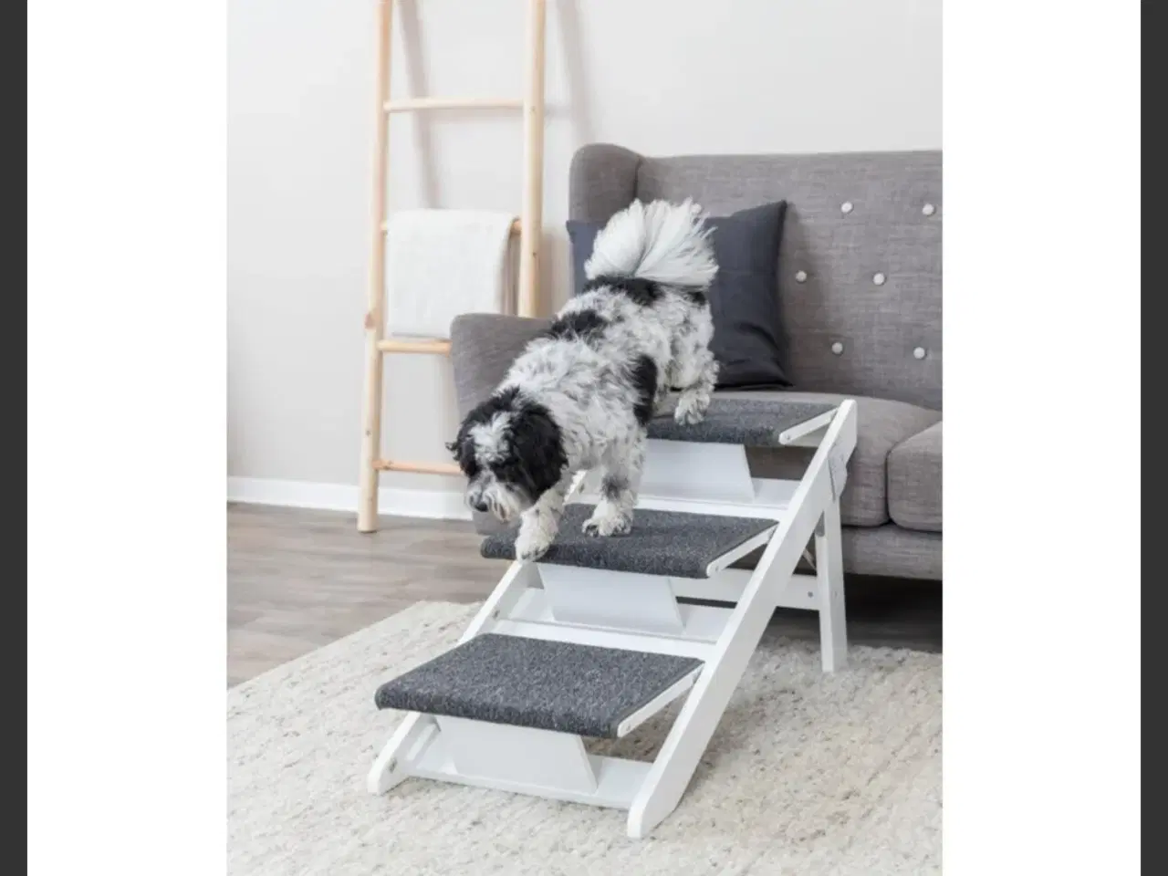 Billede 2 - Hunderampe trixie