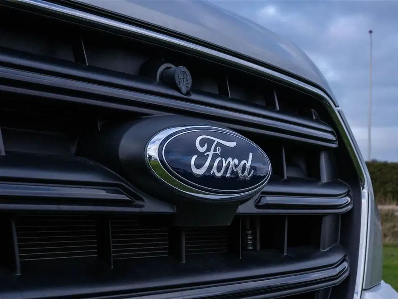 Billede 26 - 2026 - Benimar Tessoro 483