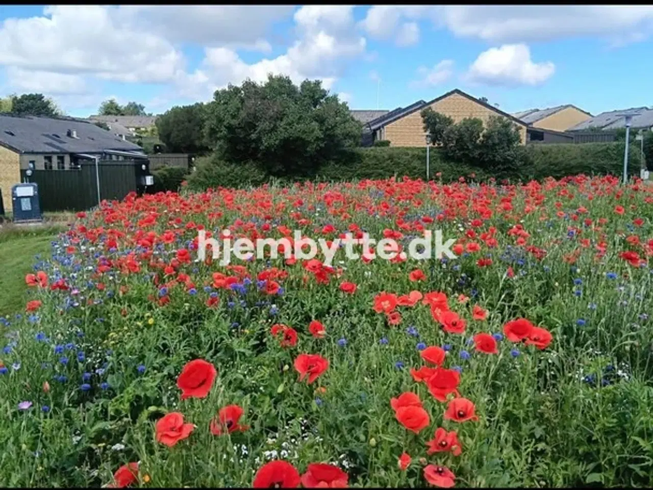 Billede 5 - Hjembytte - Gørtlervej