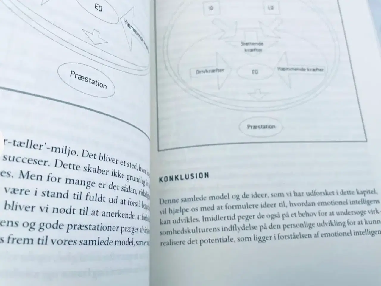 Billede 2 - Emotionel intelligens i organisationer