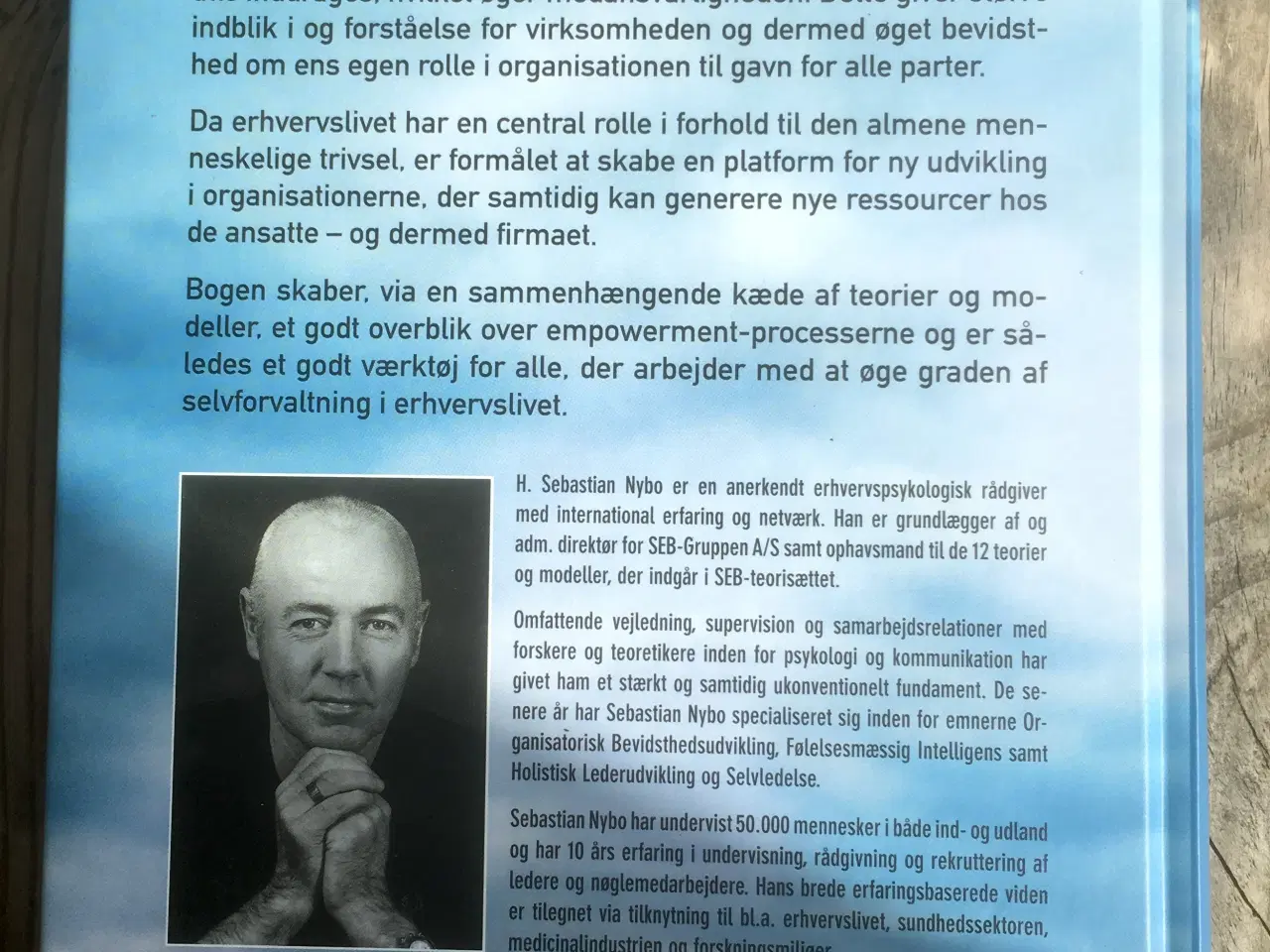 Billede 2 - Det indre lederskab, Sebastian Nybo