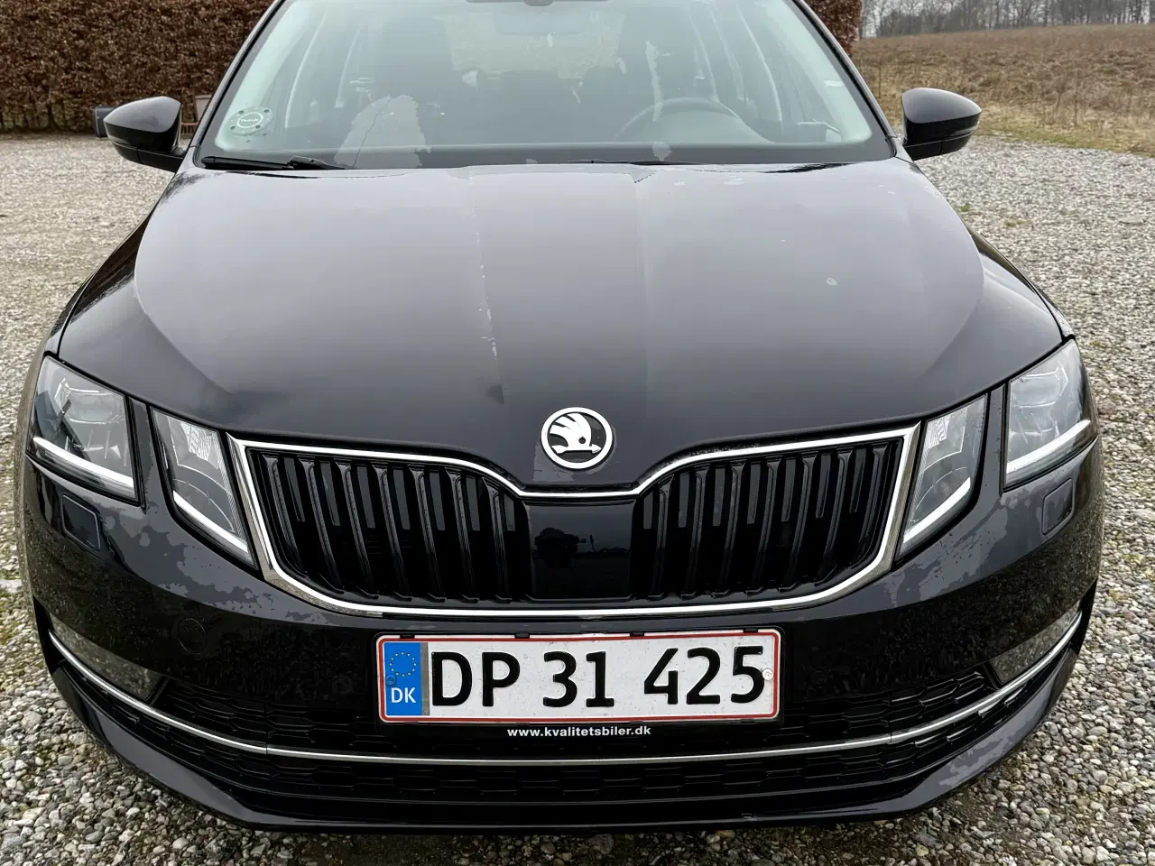 Billede 7 - Skoda Octavia 150 Combi DSG
