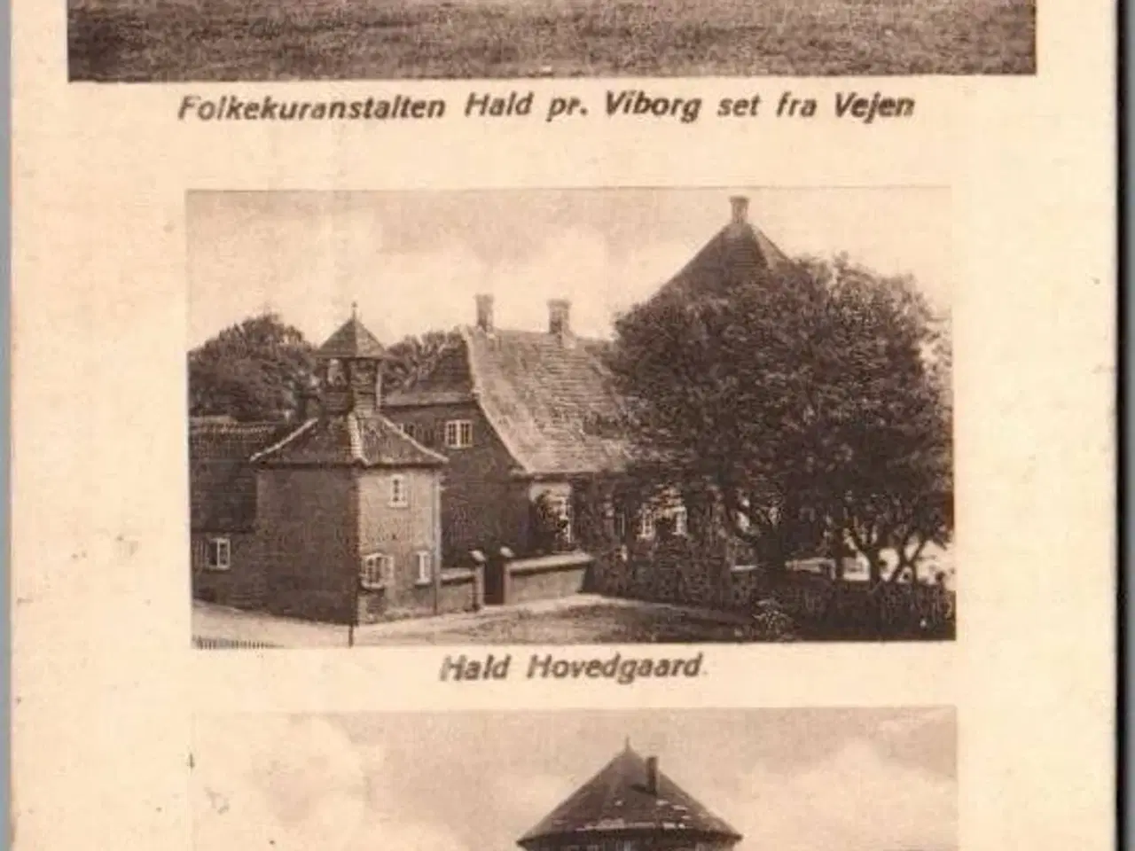 Billede 1 - Hald - Folkekuranstalten - Hovedgaard - Ruiner - Postkort - Brugt