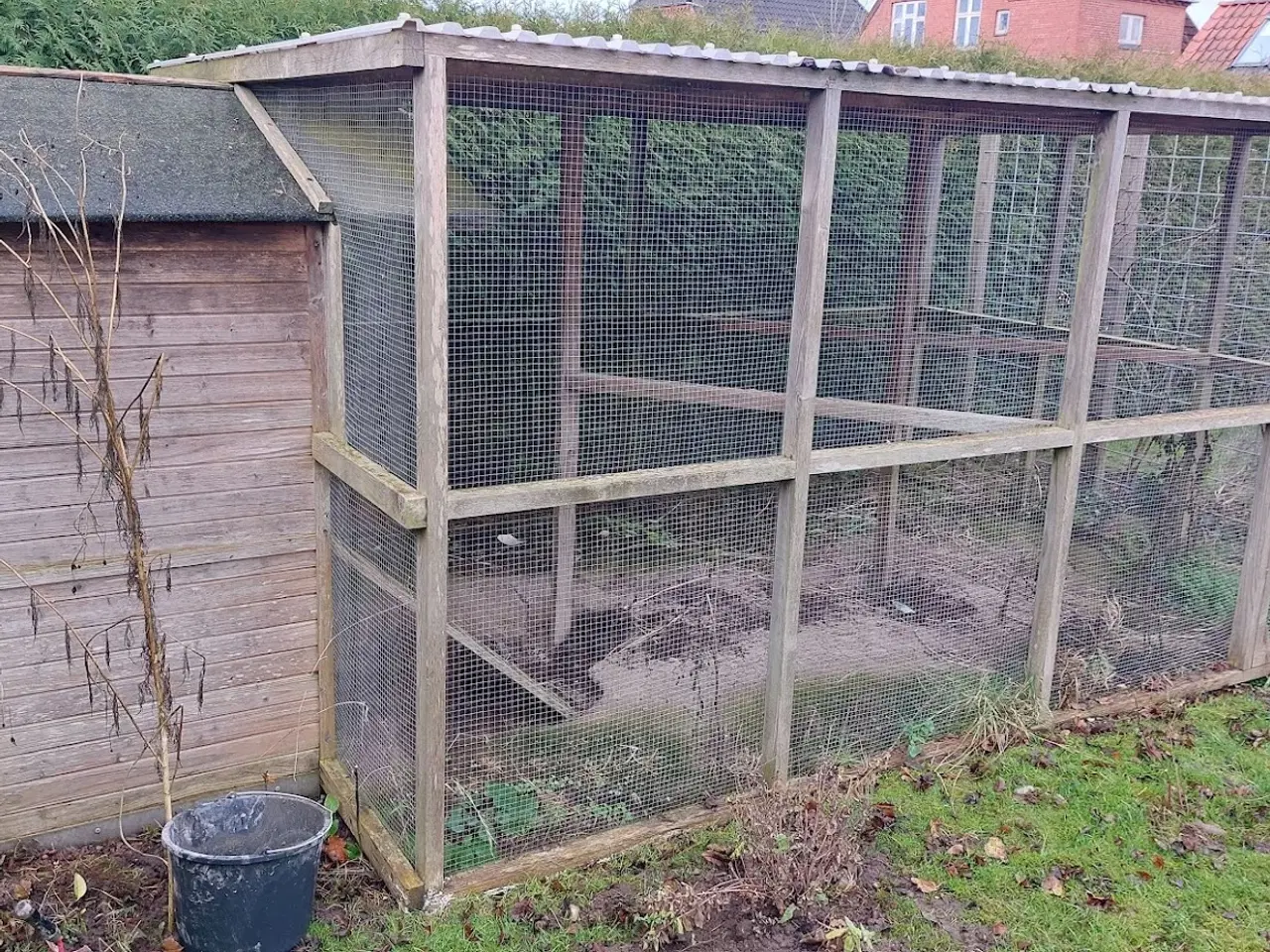 Billede 3 - Hønsegård med -hus.