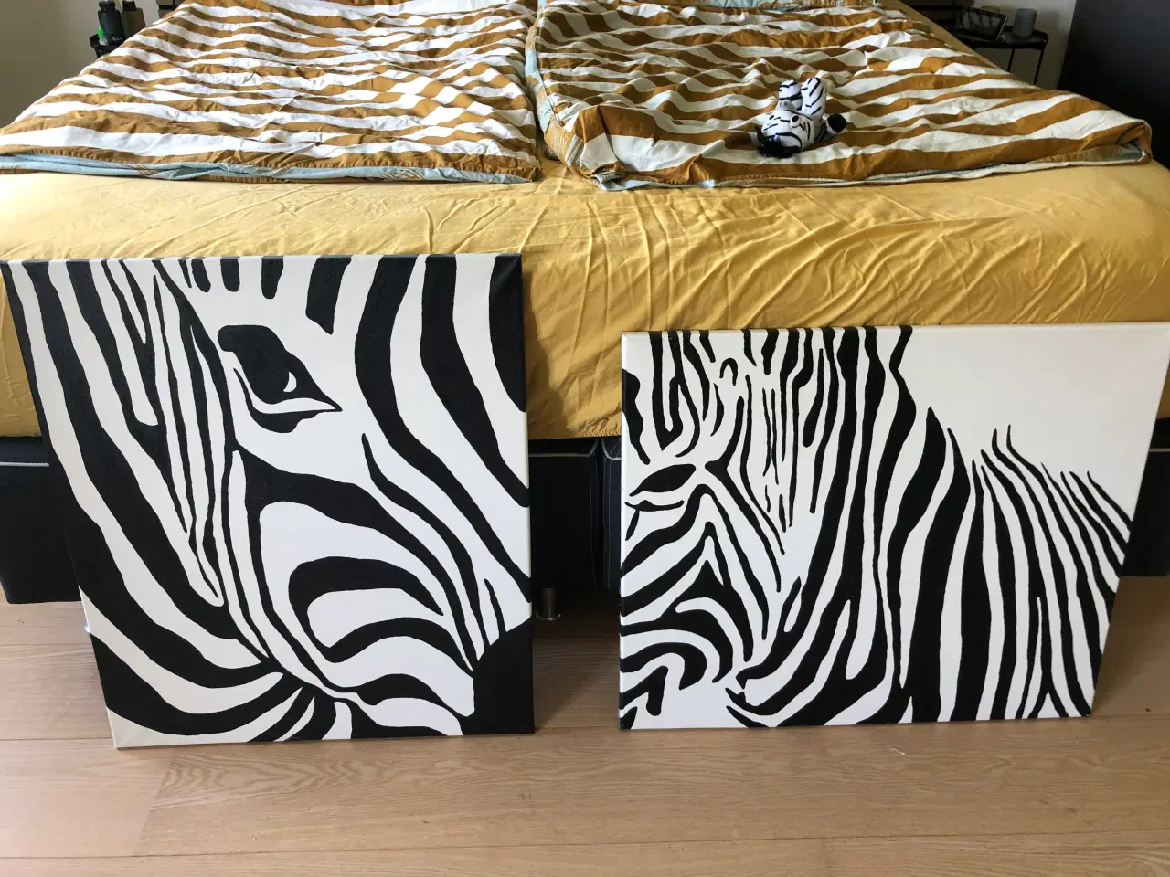 Billede 3 - Zebra billeder 