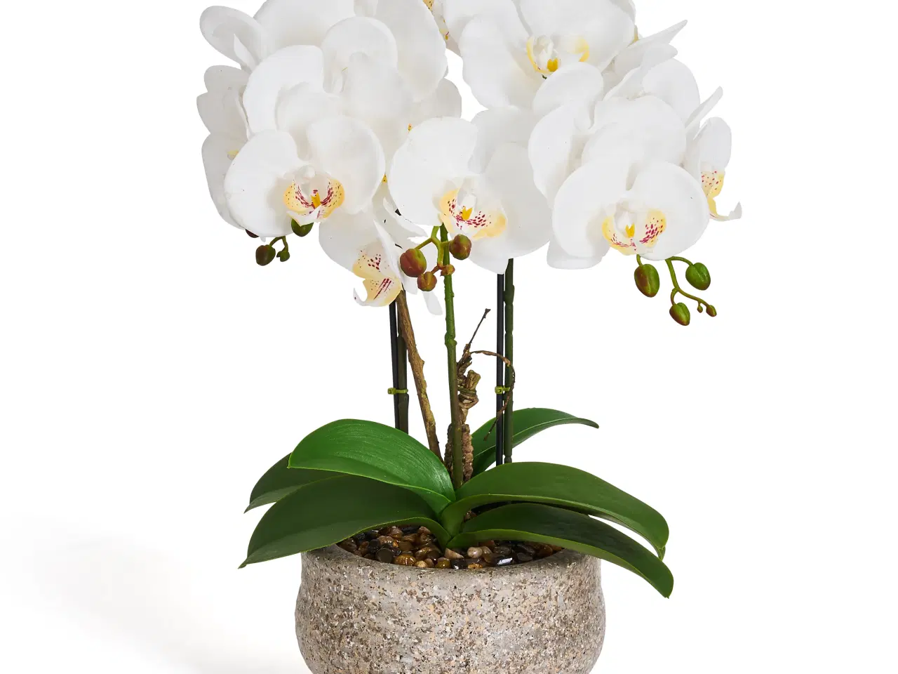 Billede 3 - Kunstig plante Orkide 50 cm