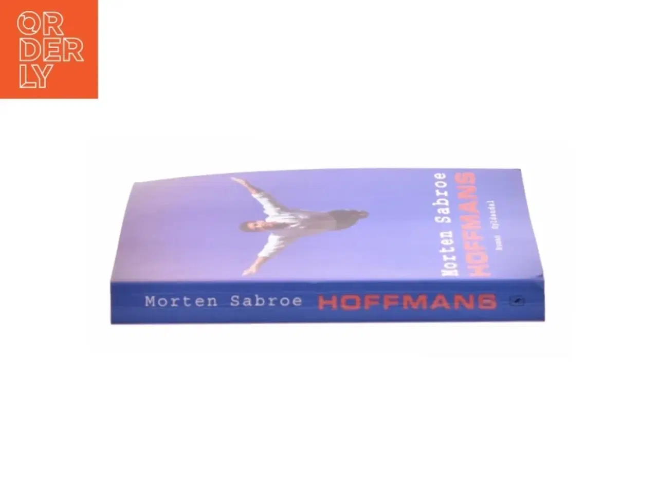 Billede 3 - Hoffmans : roman af Morten Sabroe (Bog)