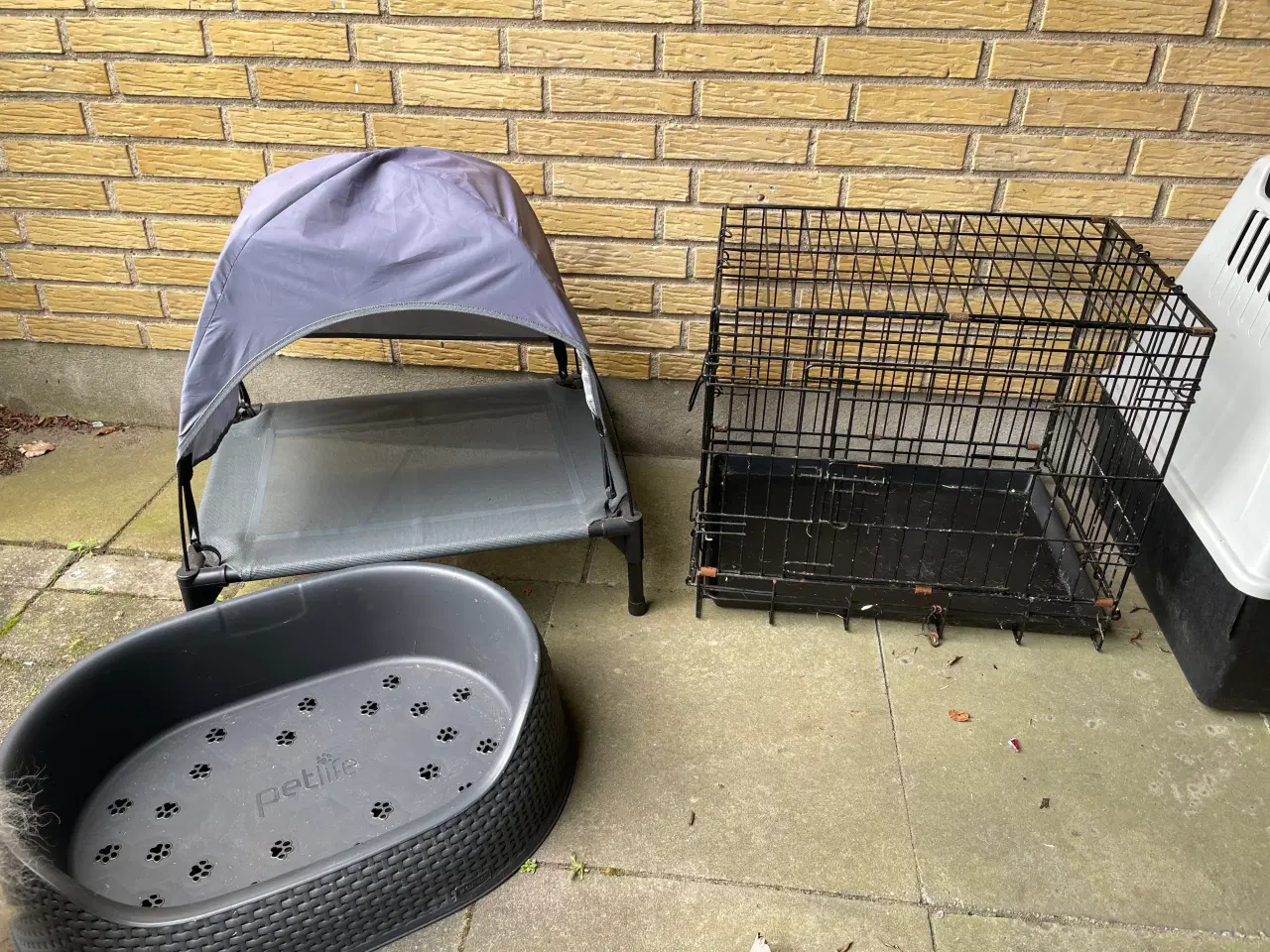Billede 2 - Hunde udstyr byd