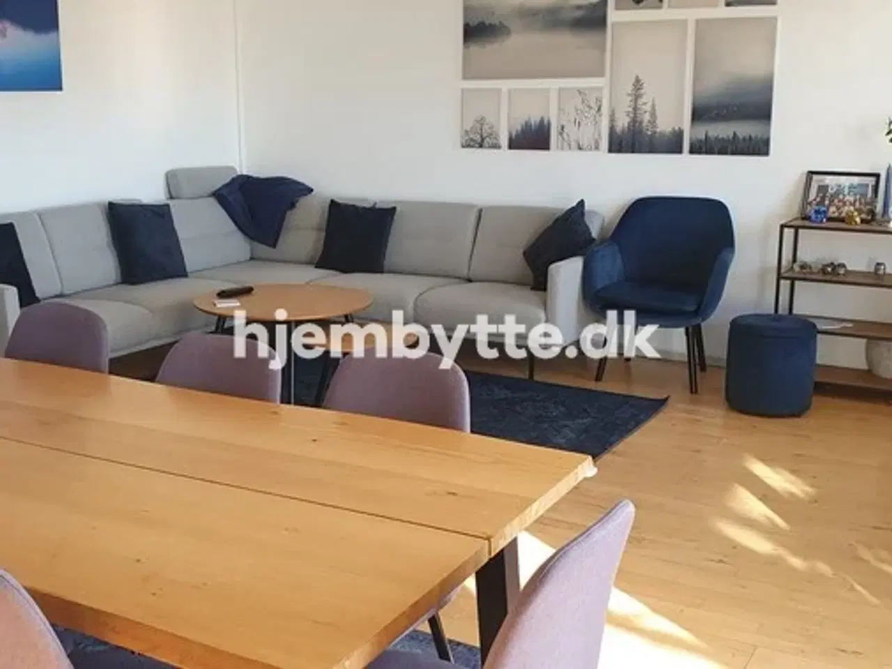 Billede 2 - Hjembytte - Klitmøllervej