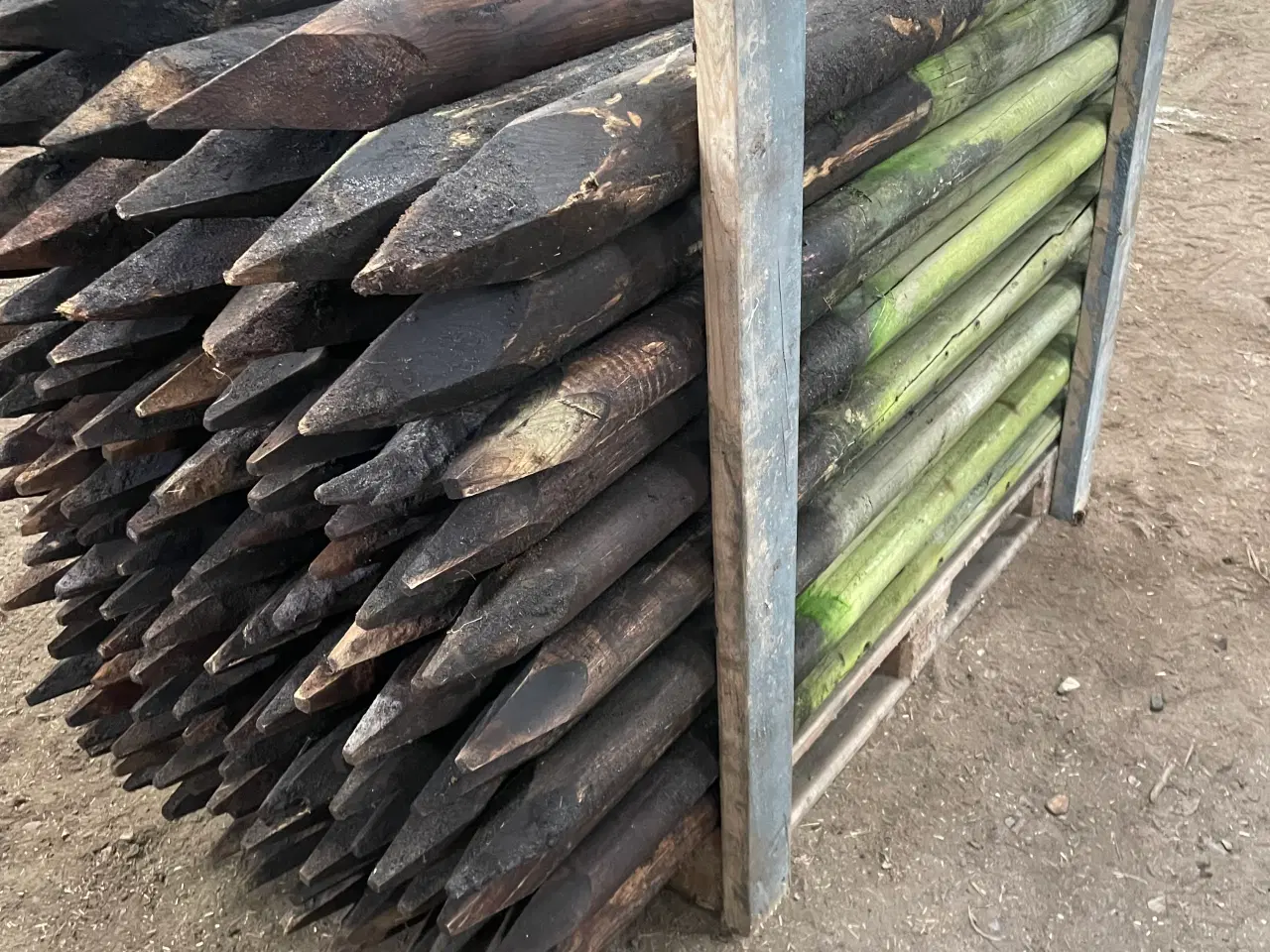 Billede 2 - Hegn sælges