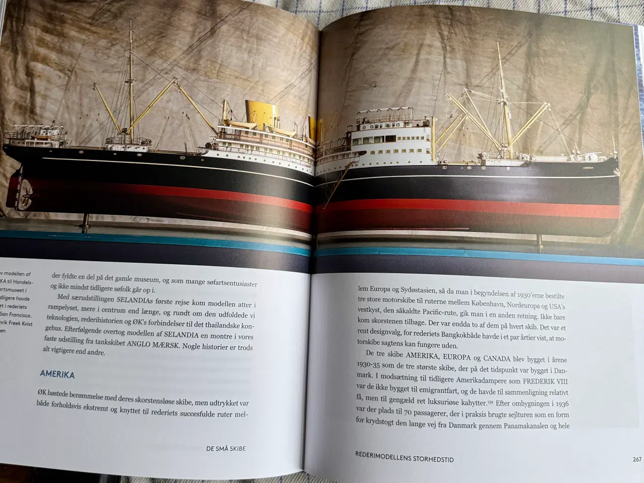 Billede 5 - Bog “de små skibe”