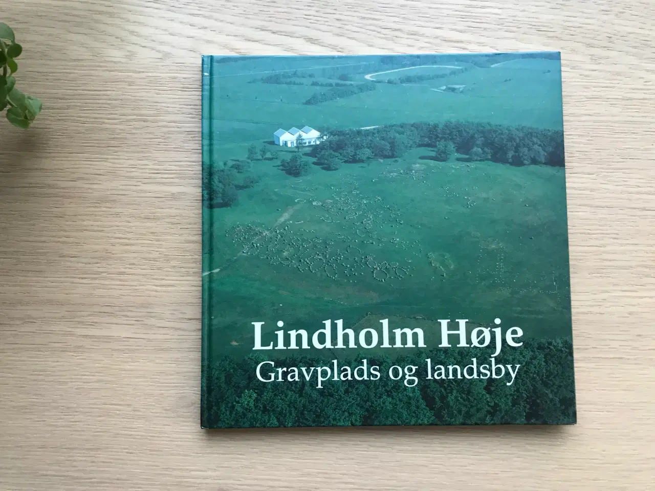 Billede 1 - Lindholm Høje   Gravplads og landsby