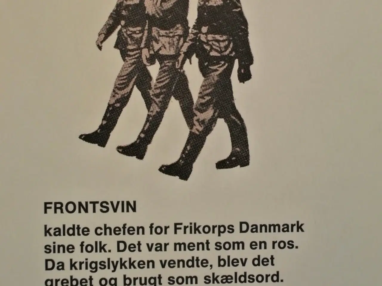 Billede 3 - frontsvin - frikorps danmark-folk fortæller 1, af 