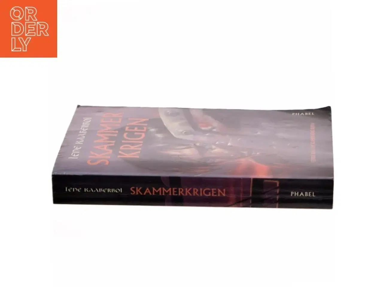 Billede 2 - Skammerkrigen af Lene Kaaberbøl (Bog)