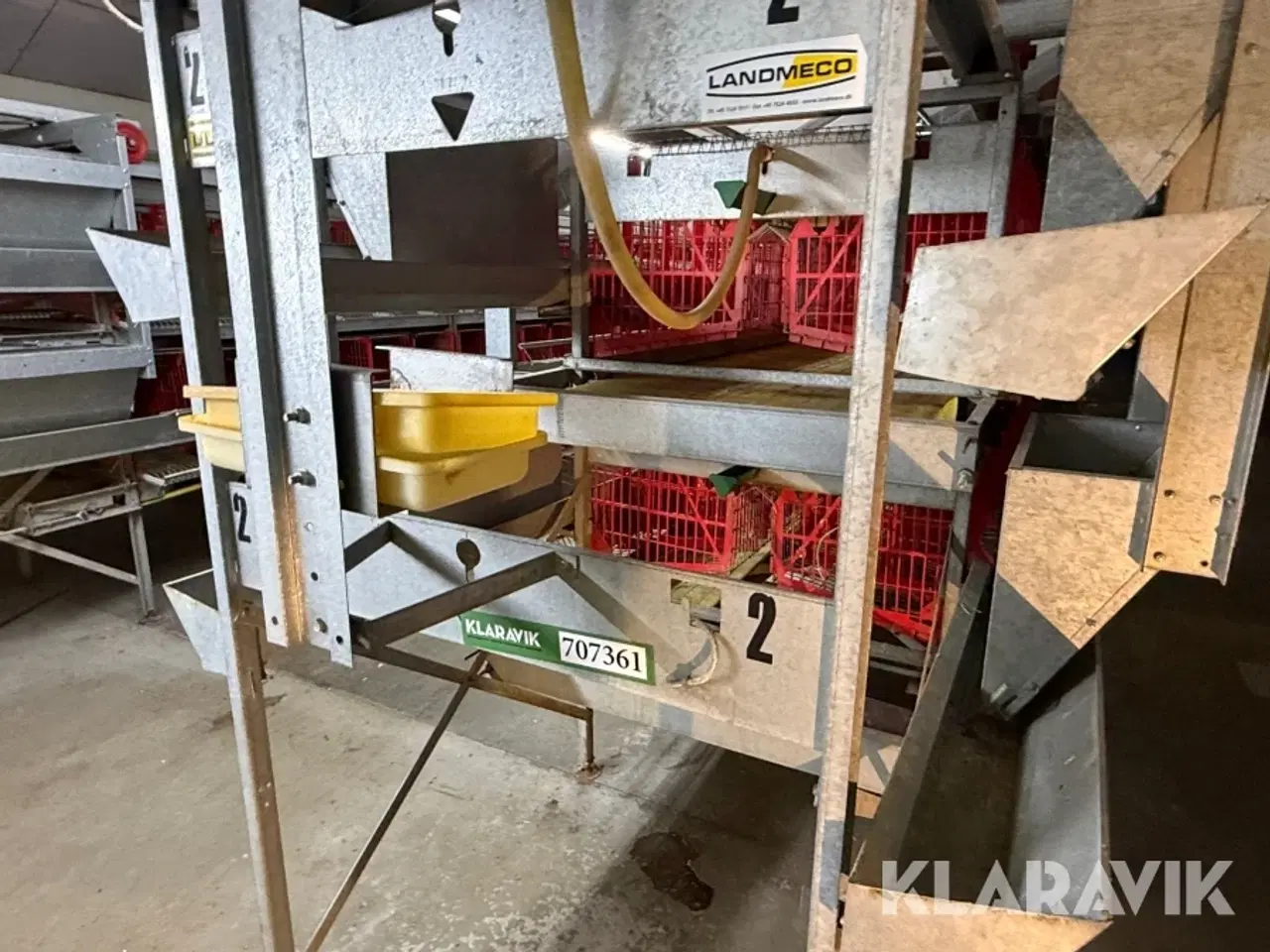 Billede 12 - Produktionslinje Landmeco æglægger system