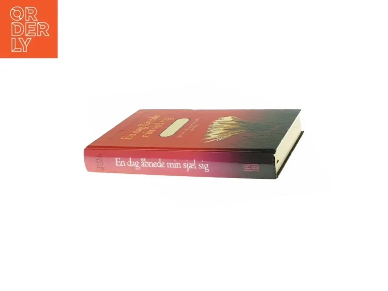 Billede 6 - En dag åbnede min sjæl sig - af IIyanla Vanzant Bog