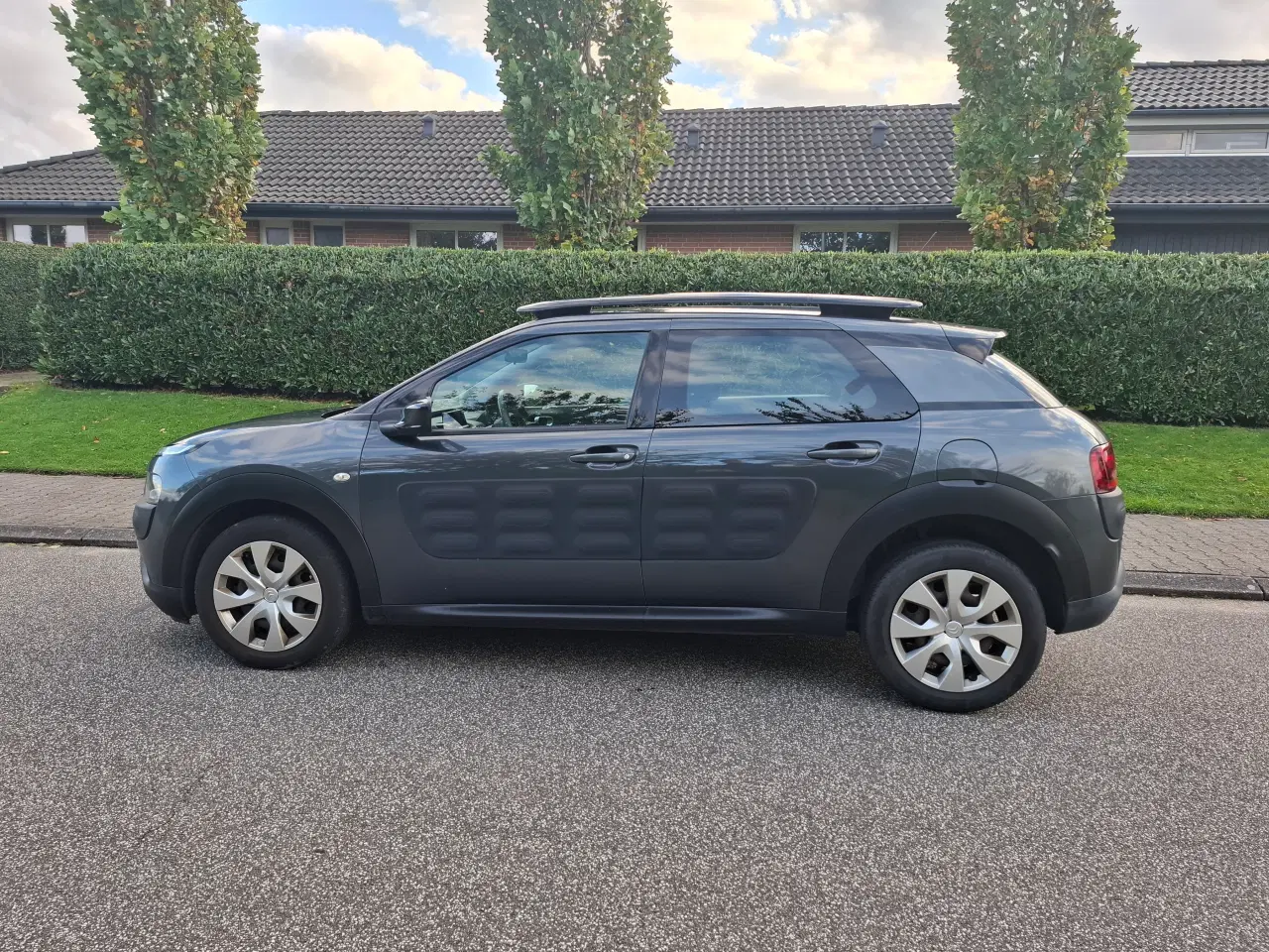 Billede 1 - Citroen C4 Cactus