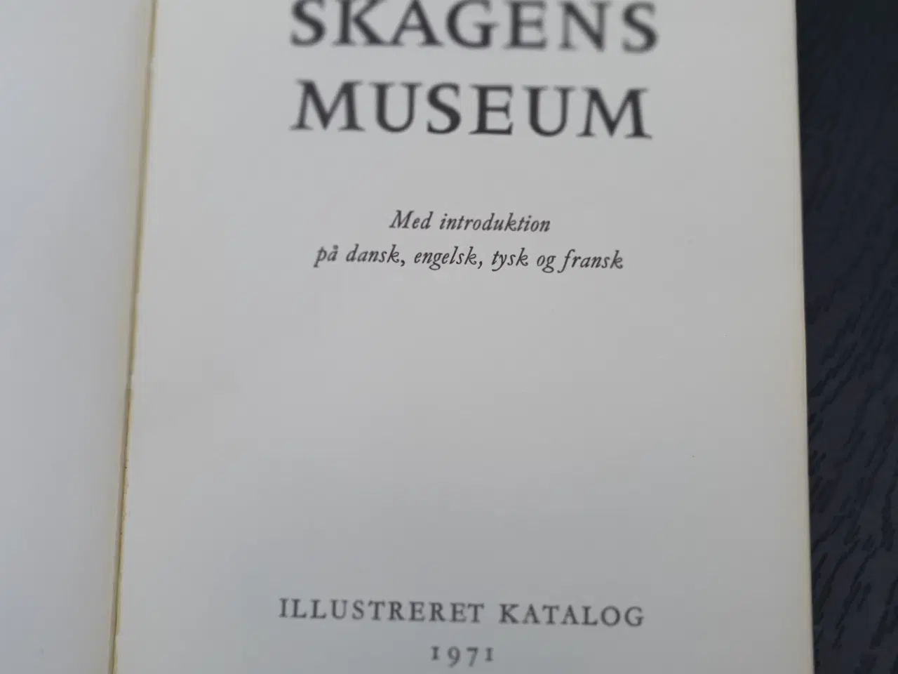Billede 7 - Skagens Museum 