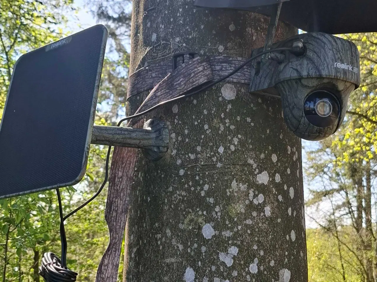 Billede 1 - Vildtkamara 