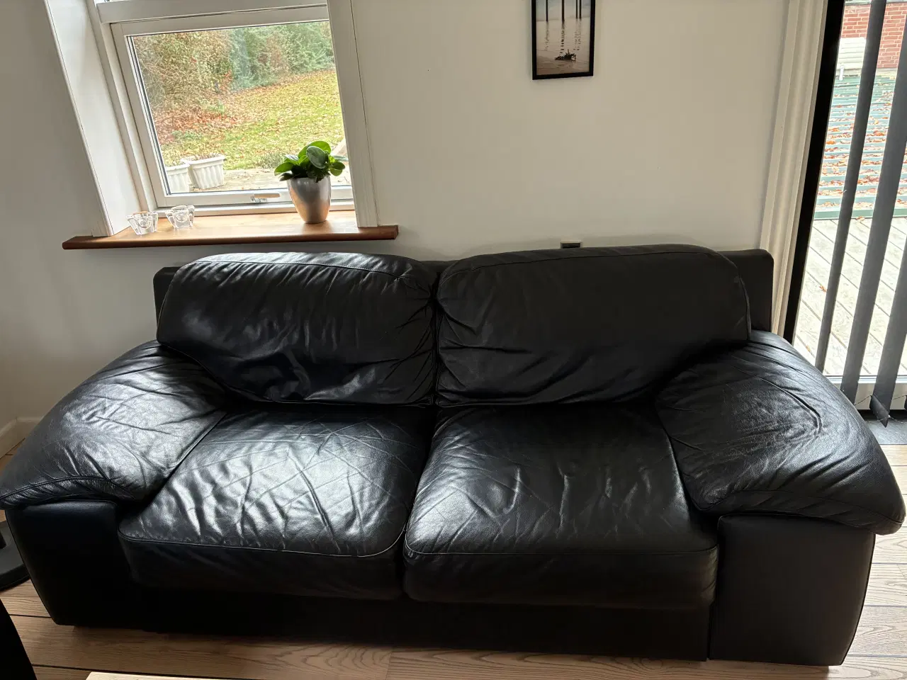 Billede 2 - Lædersofaer, 2+3 Pers.