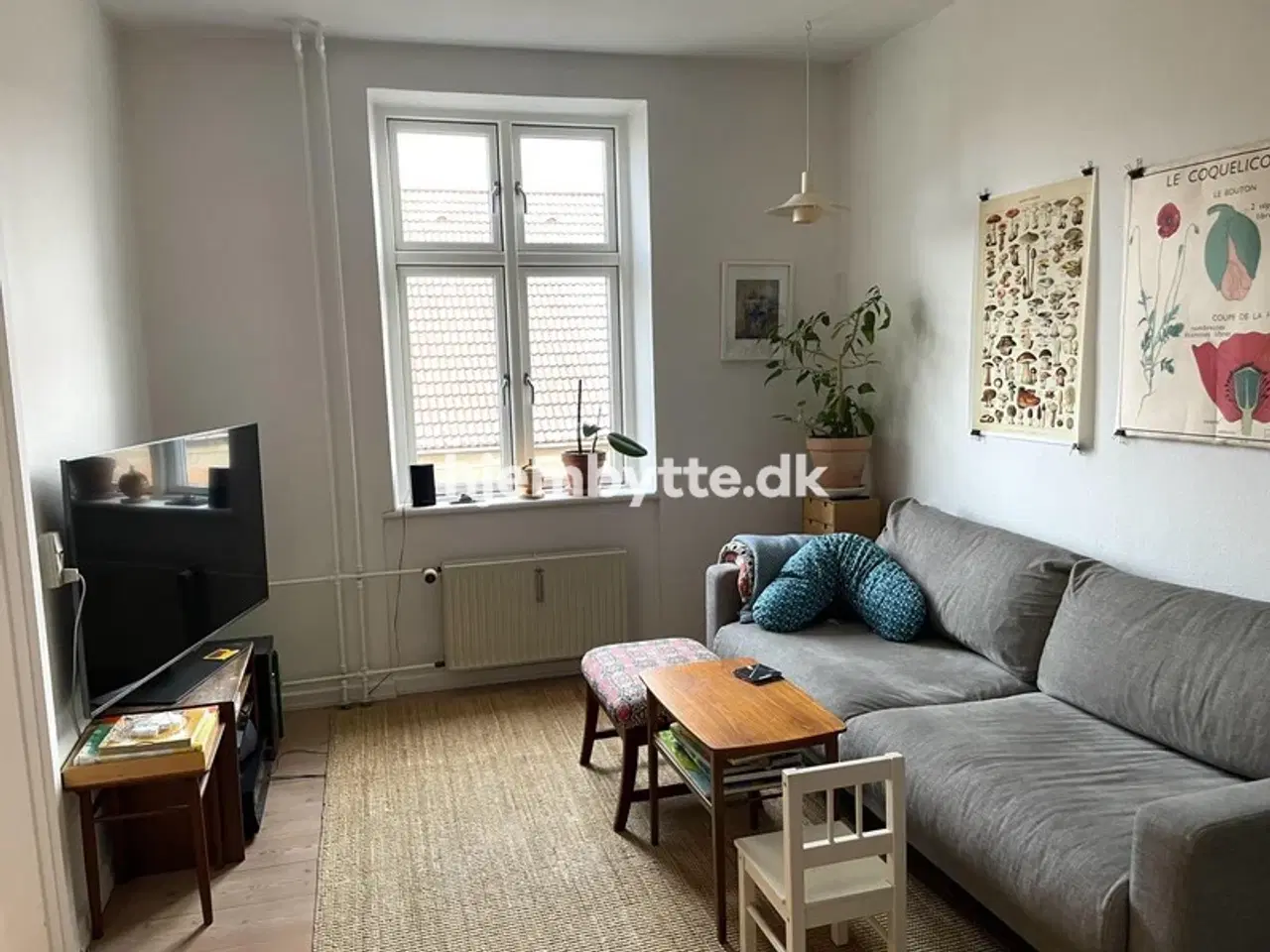 Billede 4 - Hjembytte - Baggesensgade