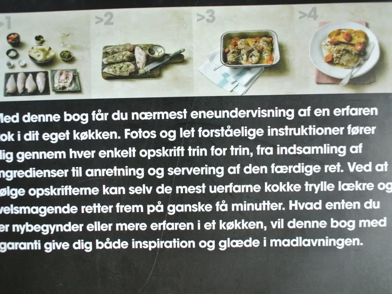 Billede 3 - trin for trin nemt og hurtigt en billedkogebog, in