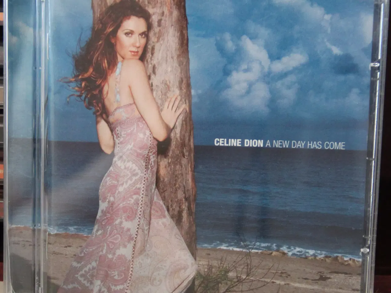 Billede 2 - Celine Dion CD’er sælges