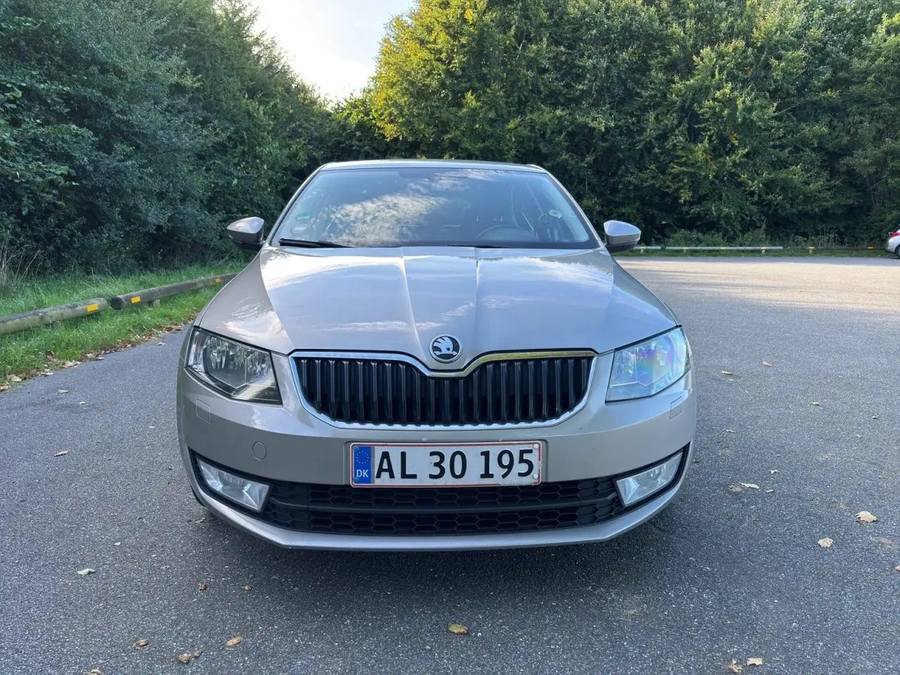 Billede 2 - Skoda Octavia 1,4 TSi 140 Elegance DSG