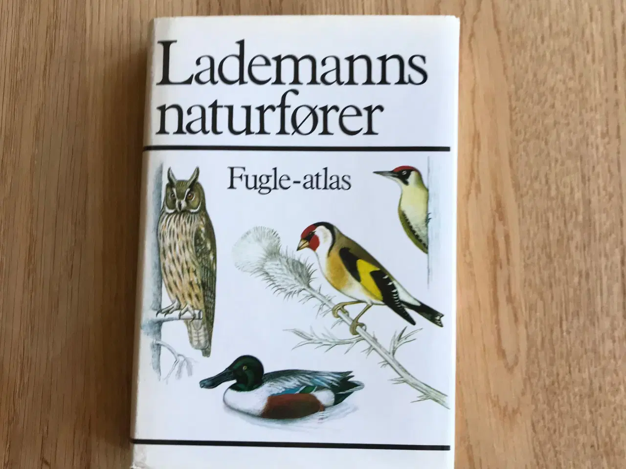 Billede 1 - Fugle-atlas  -  Lademanns naturfører