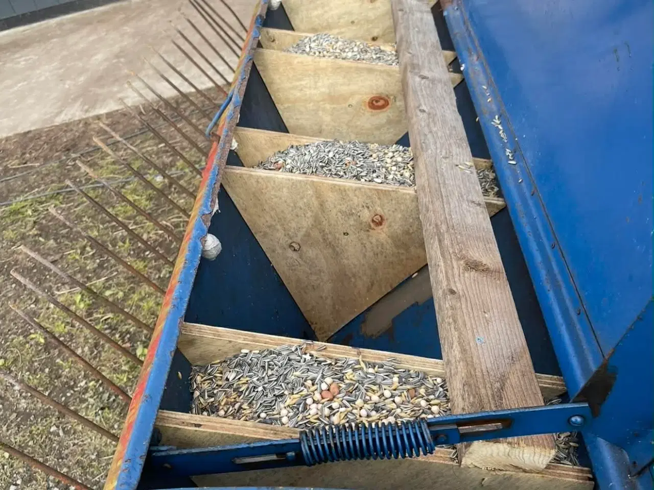 Billede 3 - Fiona såmaskine 