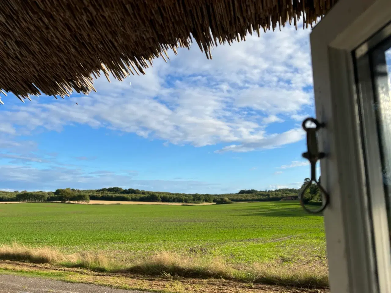 Billede 7 - Lille hus på landet