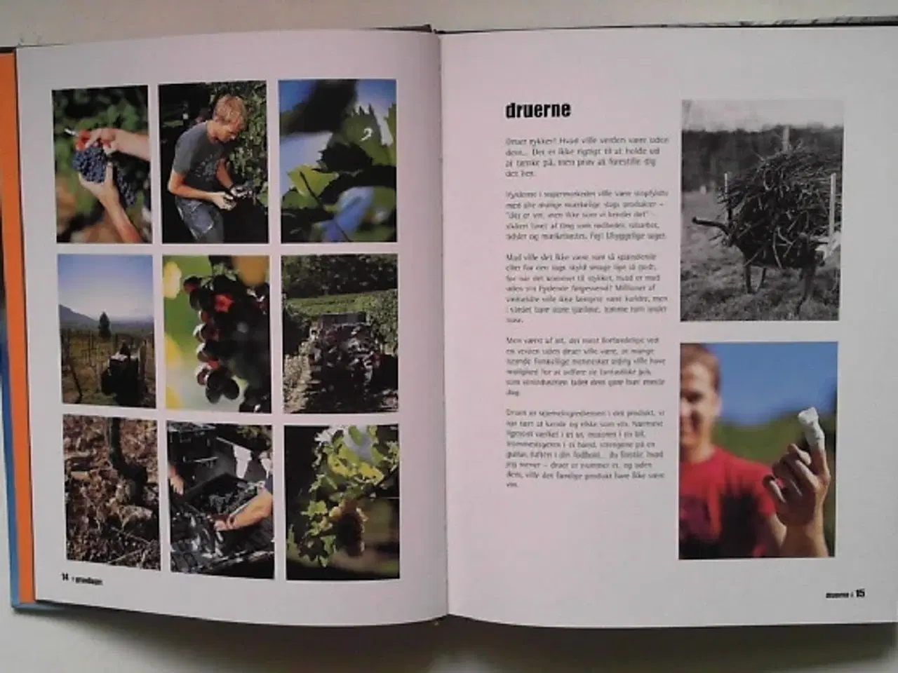 Billede 5 - Matt Skinner: Det er bar vin