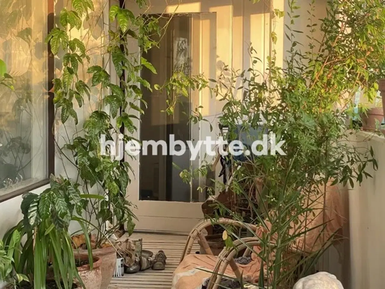 Billede 1 - Hjembytte - Næsbyvej