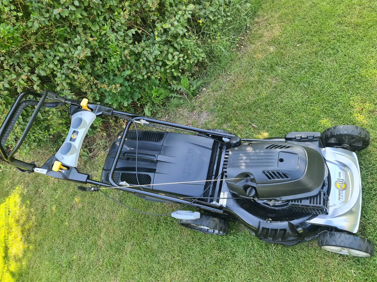 Billede 2 -  Texas Razor selvkørende plæneklipper 