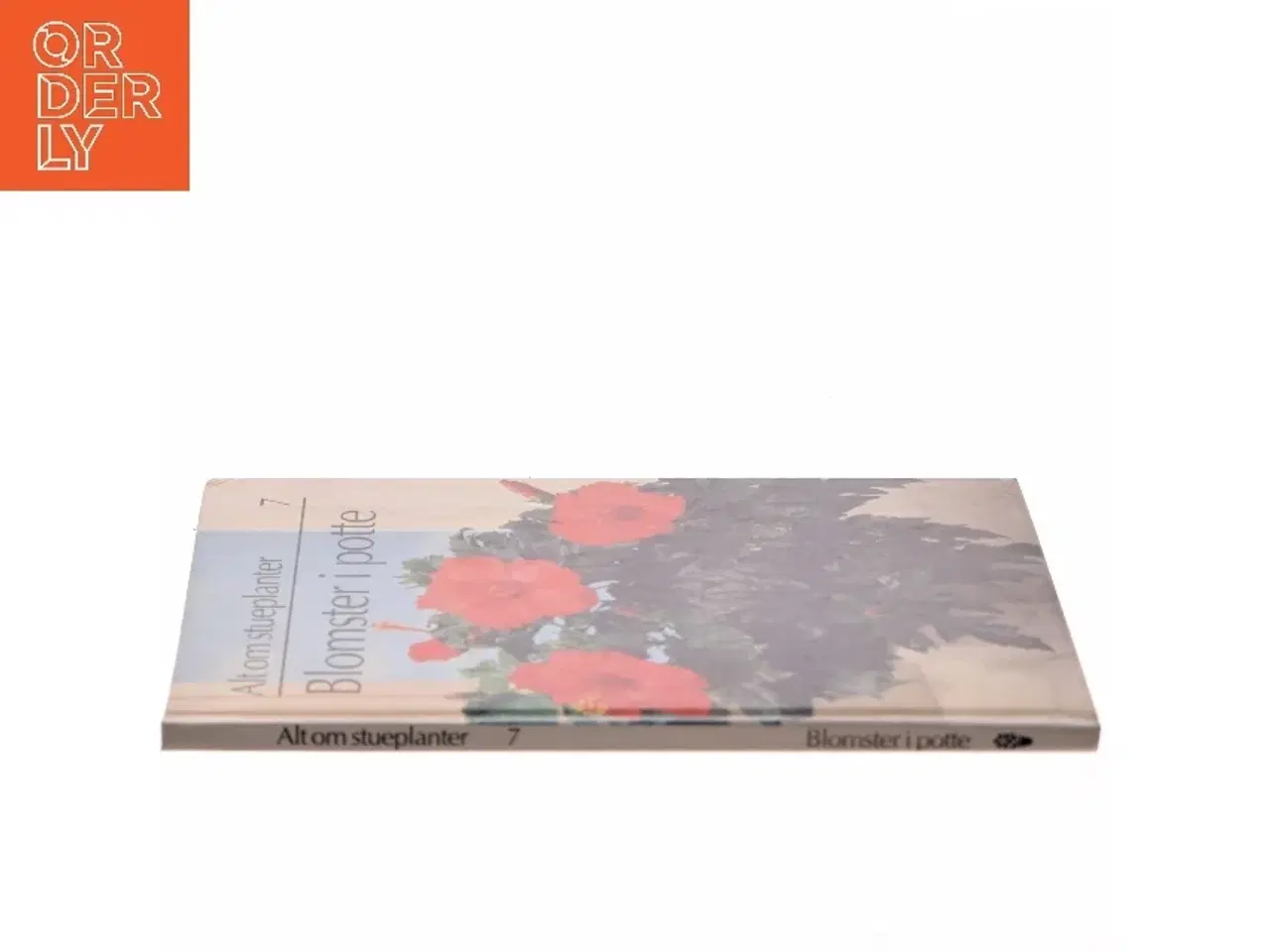 Billede 2 - Blomster i potte (Bog)