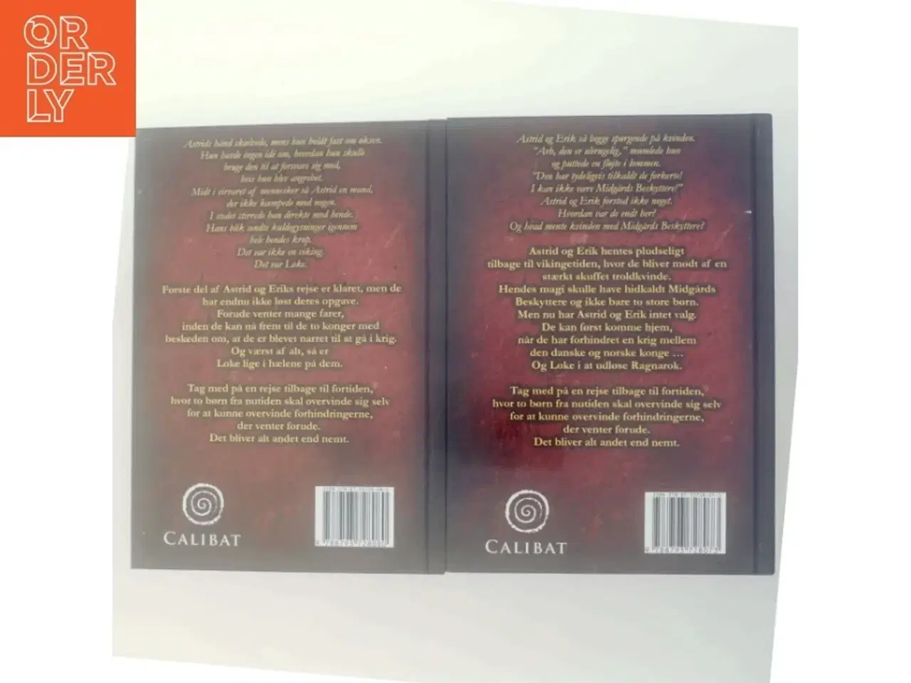 Billede 3 - Midgårds Beskyttere Bind 1 & 2 af Tanja Rohini Bisgaard (Bogserie)