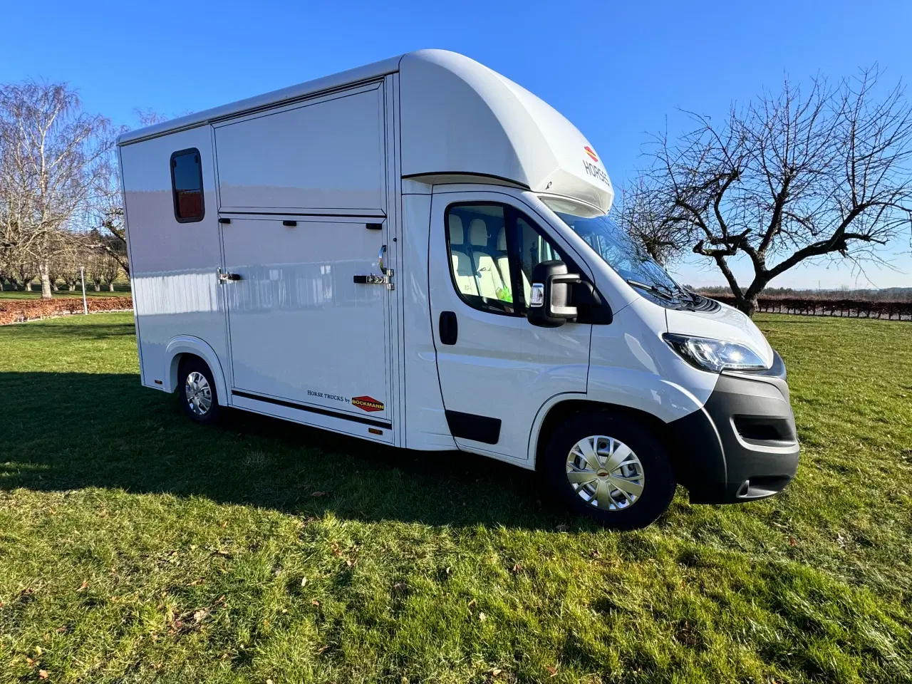 Billede 1 - NY Böckmann Compact Stall hestetransporter