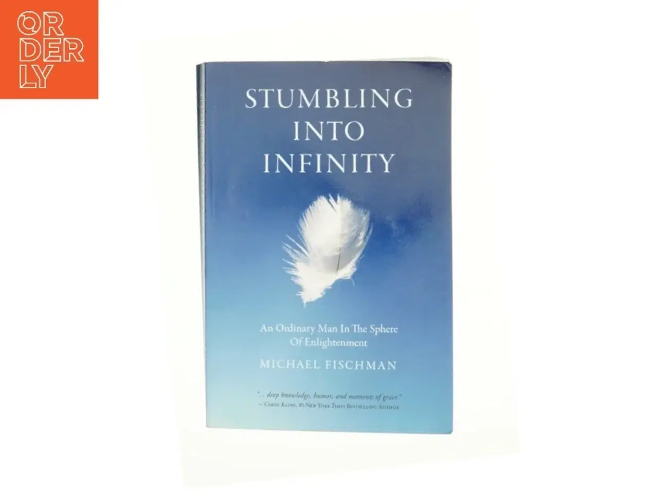 Billede 1 - Stumbling Into Infinity af Fischman, Michael (Bog)
