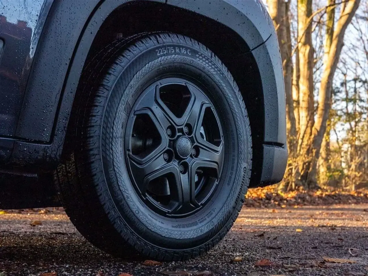 Billede 50 - 2026 - Tourne 6.0 Cruise aut. gear - Black Den originale Tourne