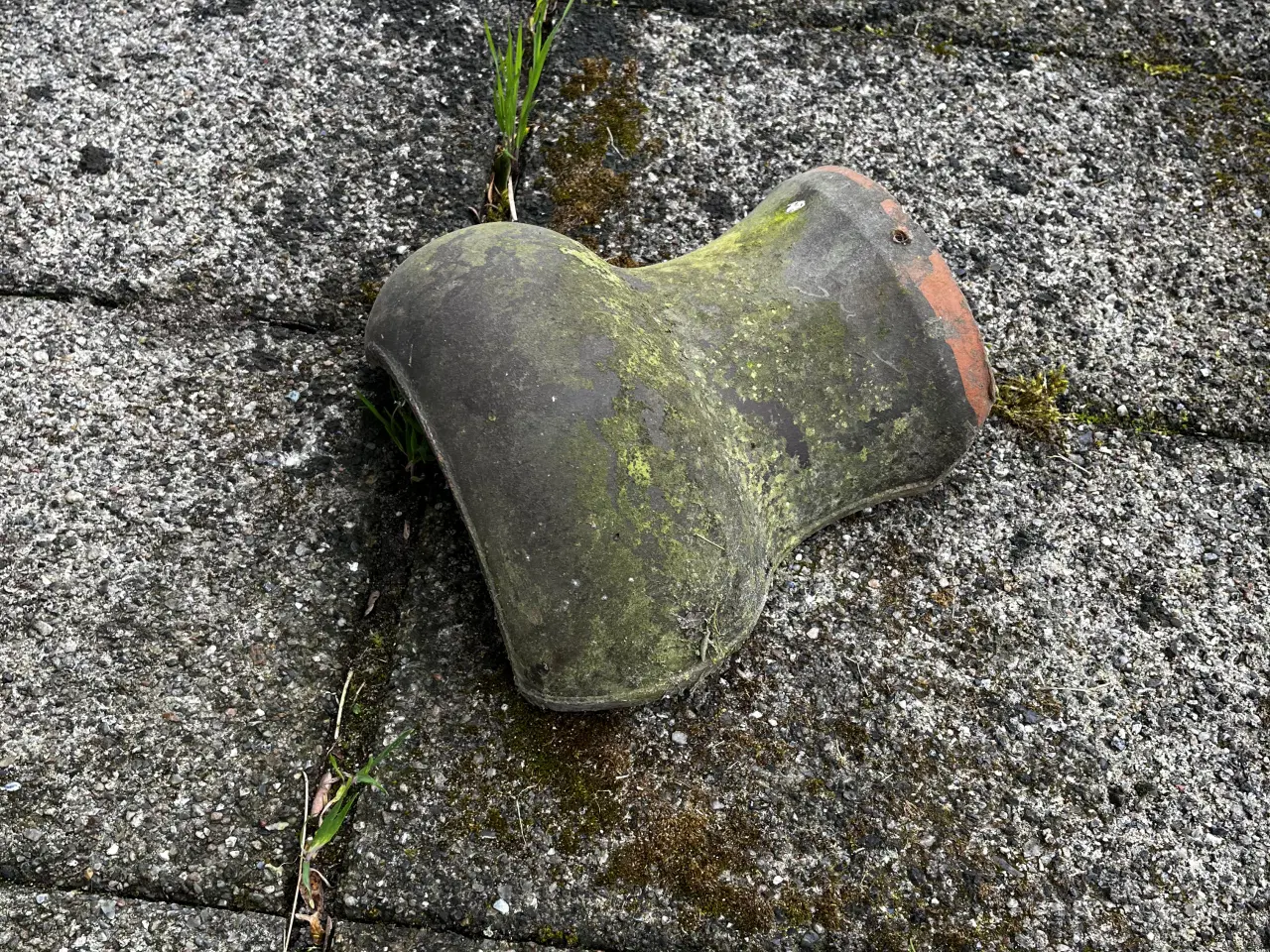 Billede 4 - Sjældne tagsten sælges. 