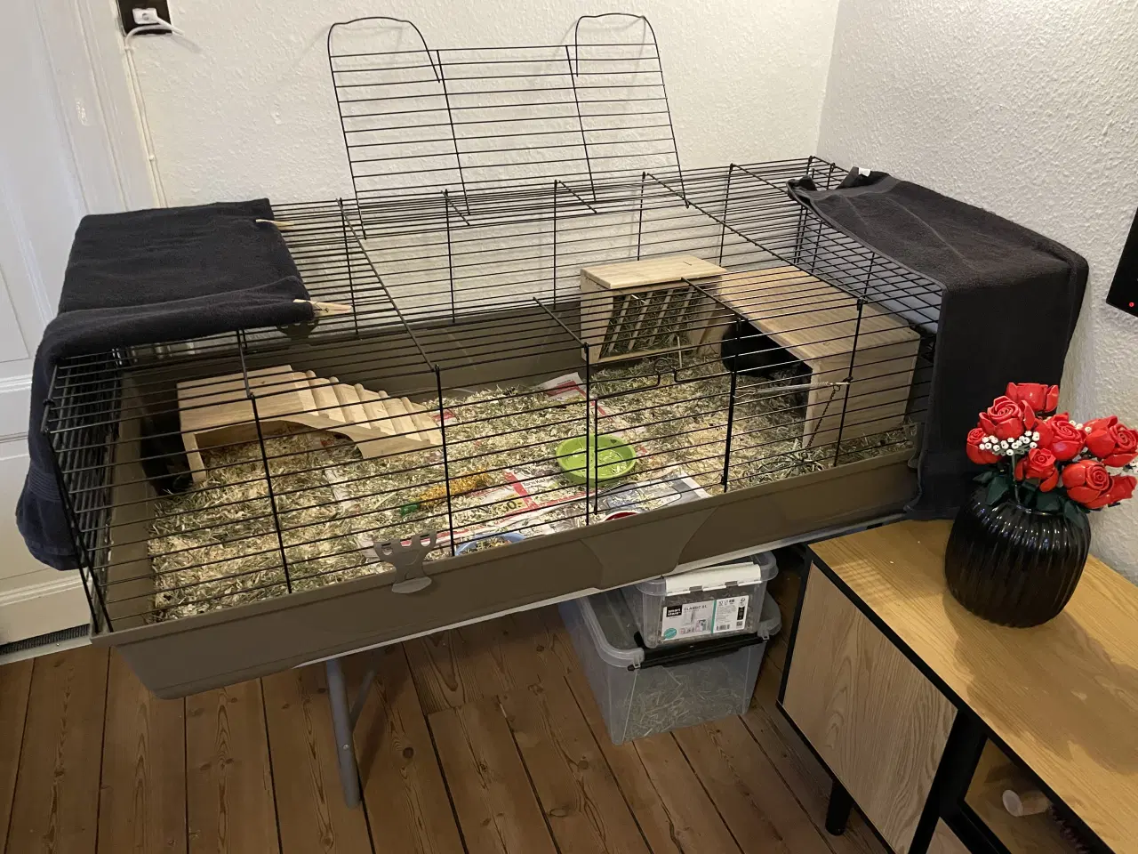 Billede 4 - 2 hun marsvin 