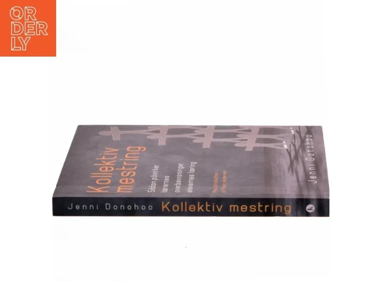 Billede 2 - Kollektiv mestring : sådan påvirker lærernes overbevisning elevernes læring af Jenni Donohoo (Bog)