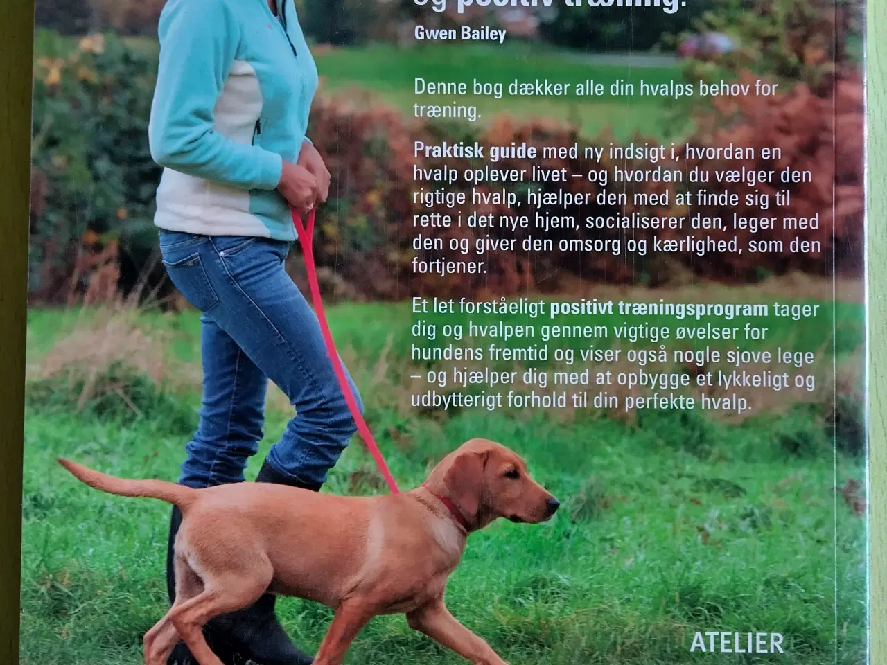 Billede 2 - Træn Din Hvalp.   Gwen Bailey.   Brugt få gange.  