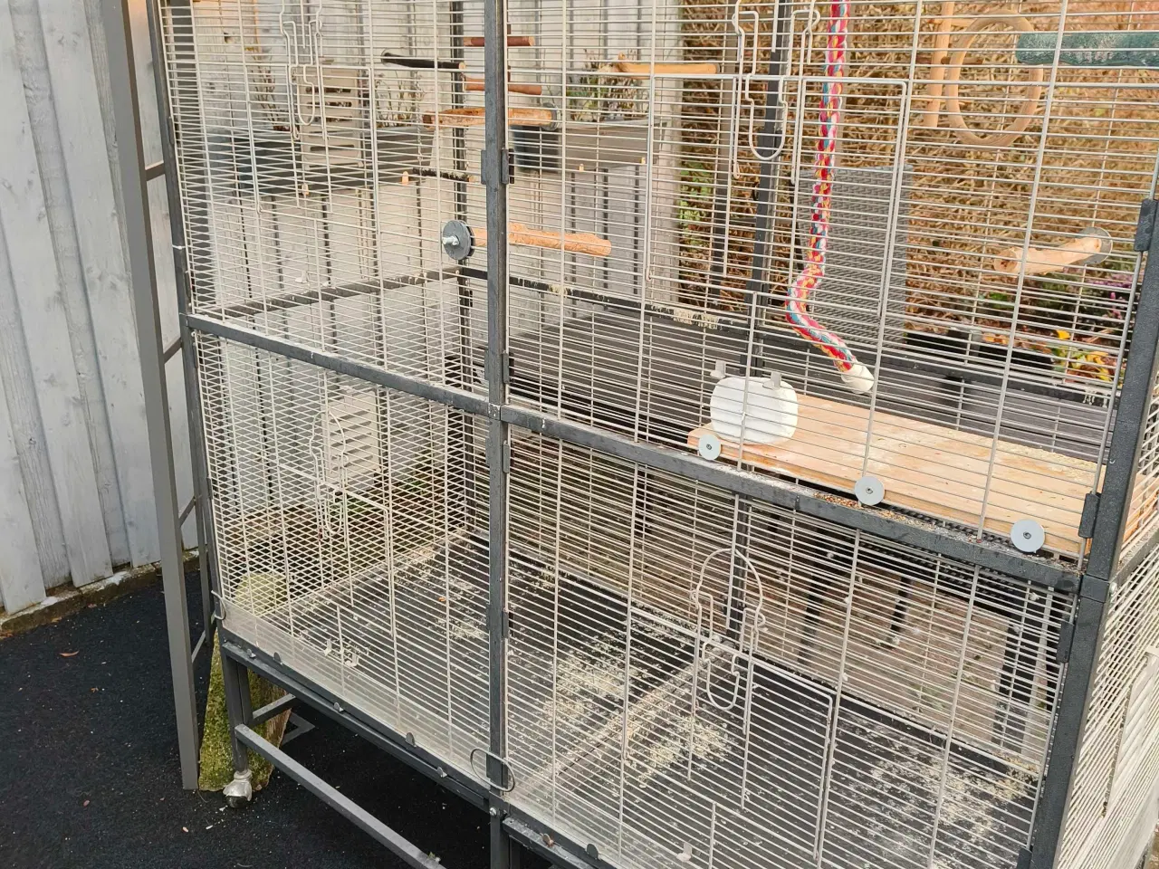 Billede 1 - Stue voliere 