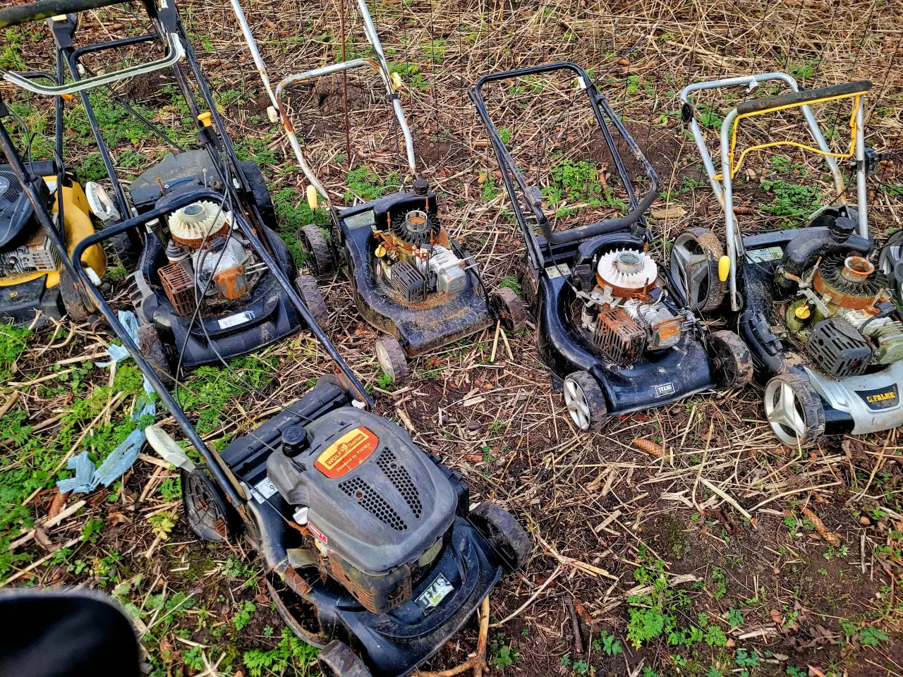 Billede 4 - 10 defekte plæneklippere sælges 
