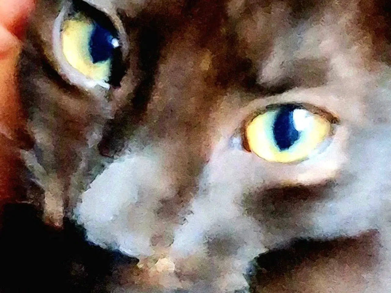 Billede 2 - Dværgkattekillinger søger nyt hjem. 